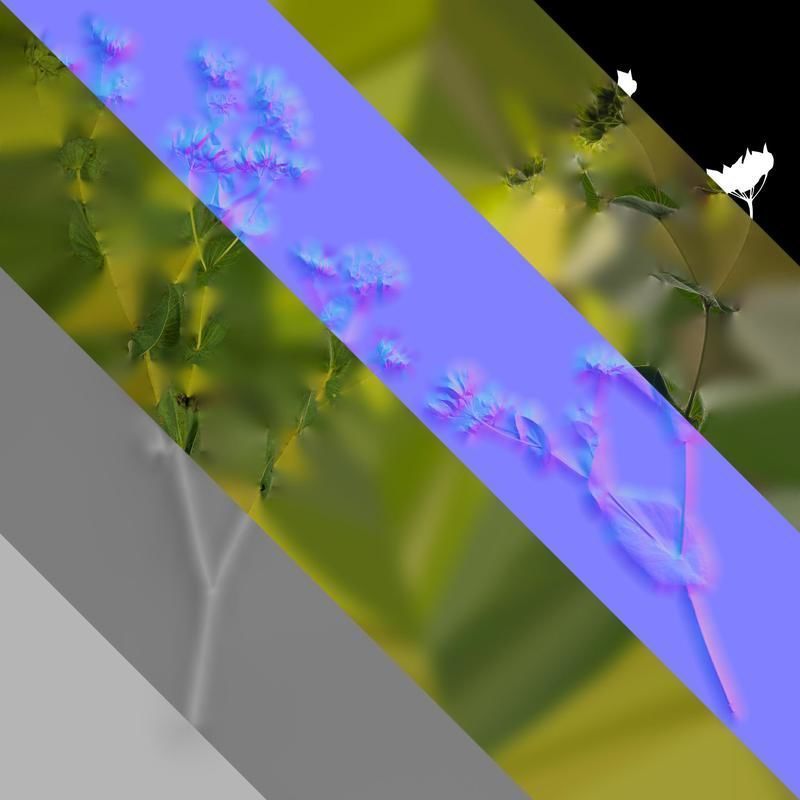 Anydrafts Bupleurum rotundifolium Atlas 04 Texture_8