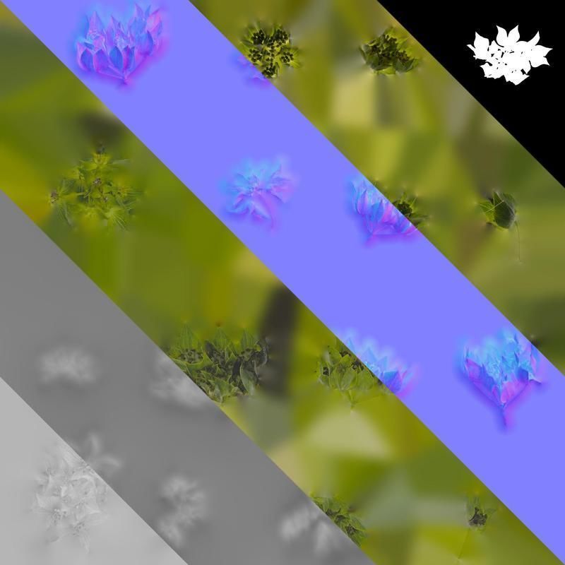 Anydrafts Bupleurum rotundifolium Flower 01 Texture_8