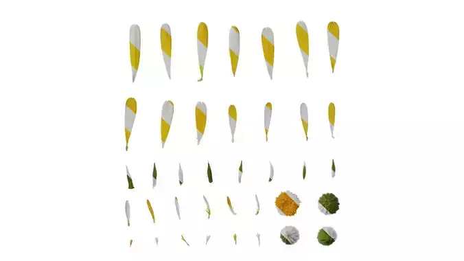 Anydrafts Calendula officinalis Flower 01