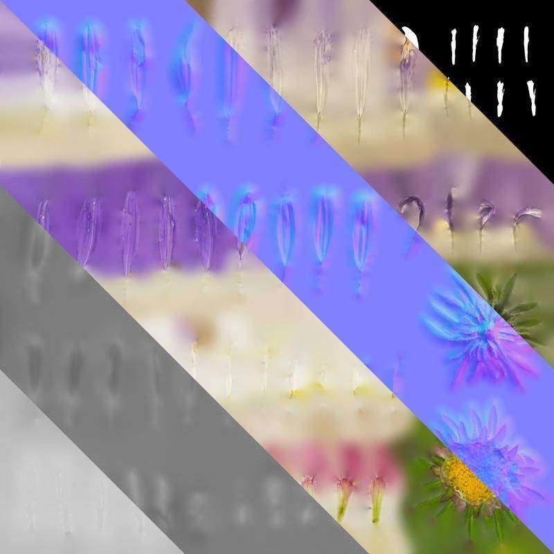 Anydrafts Callistephus chinensis Flower 02 Texture_8