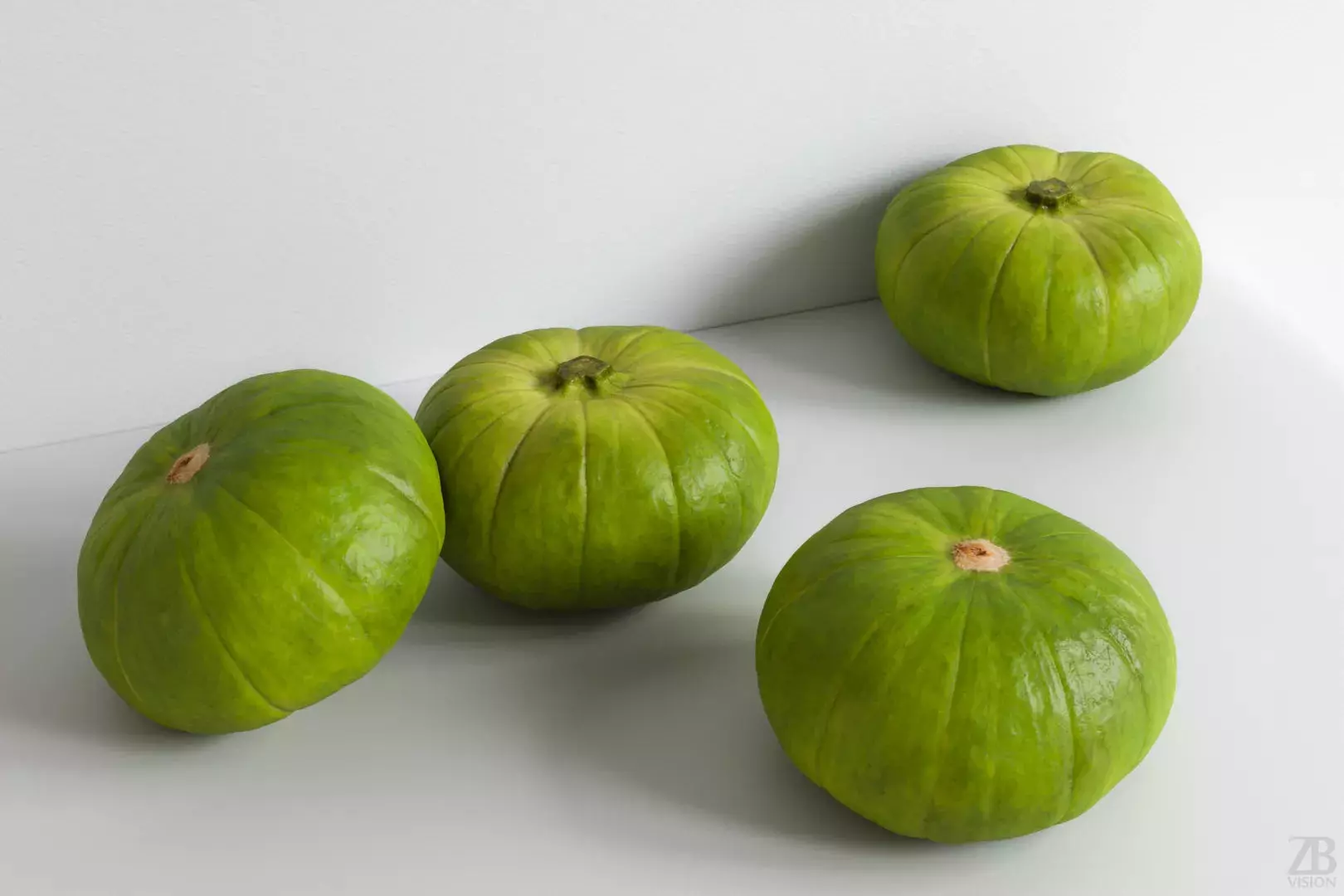 Zucchiolo 3D model
