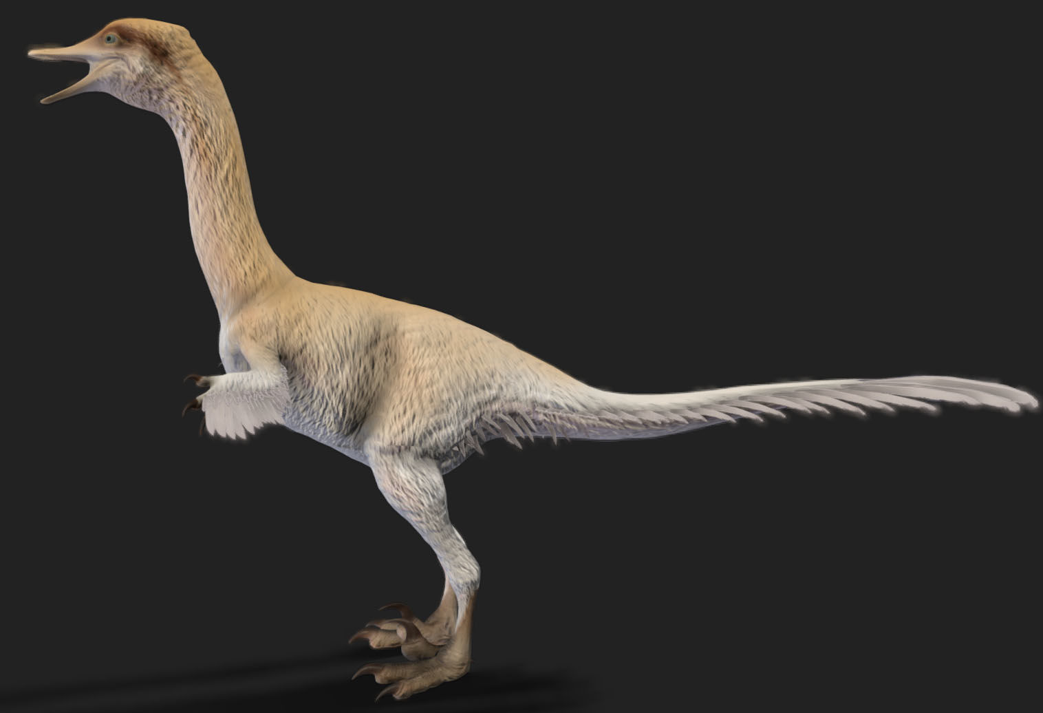 Halszkaraptor Low-poly 3D model_4