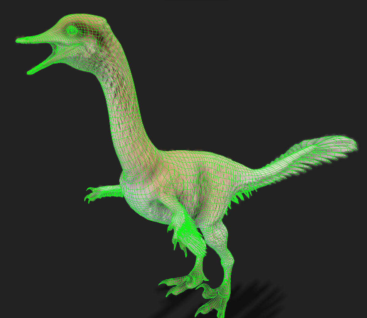 Halszkaraptor Low-poly 3D model_5