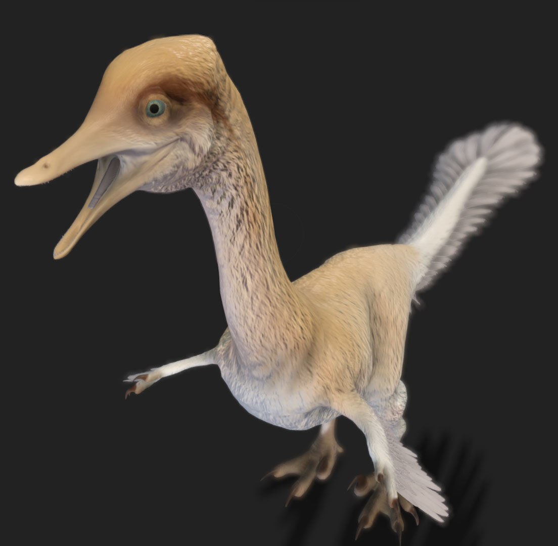 Halszkaraptor Low-poly 3D model_3