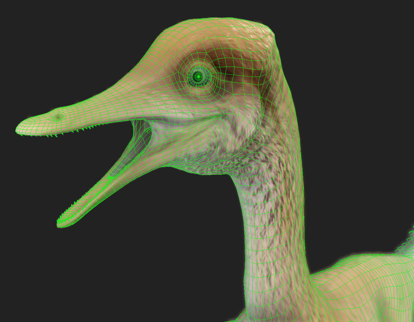 Halszkaraptor Low-poly 3D model_1