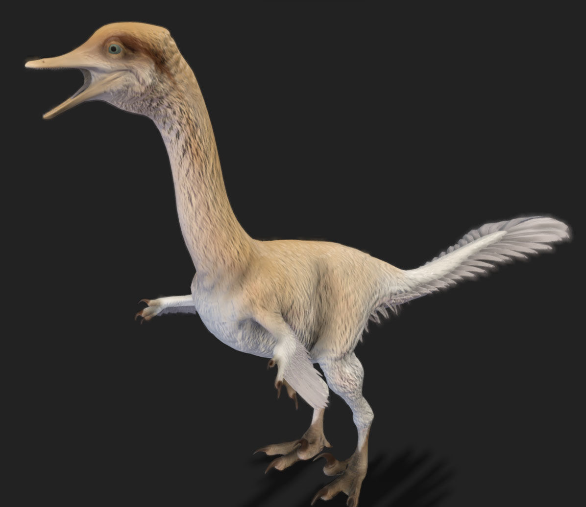 Halszkaraptor Low-poly 3D model_2