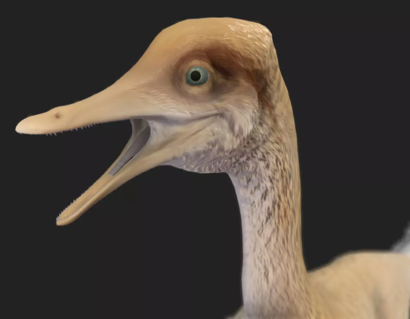Halszkaraptor Low-poly 3D model_0