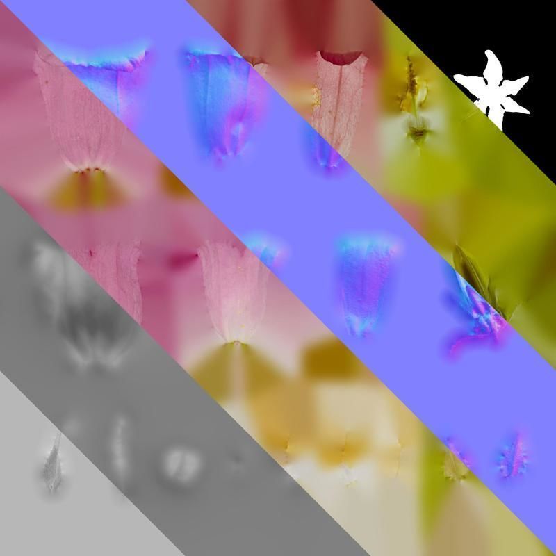 Anydrafts Campanula medium Flower 03 Texture_8