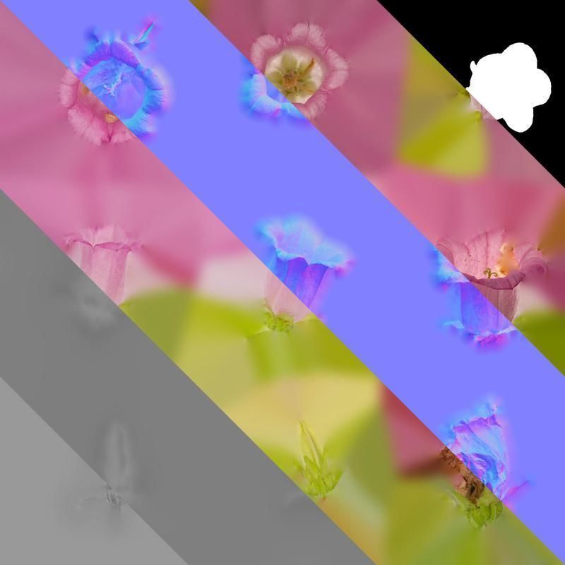 Anydrafts Campanula medium Flower 04 Texture_8