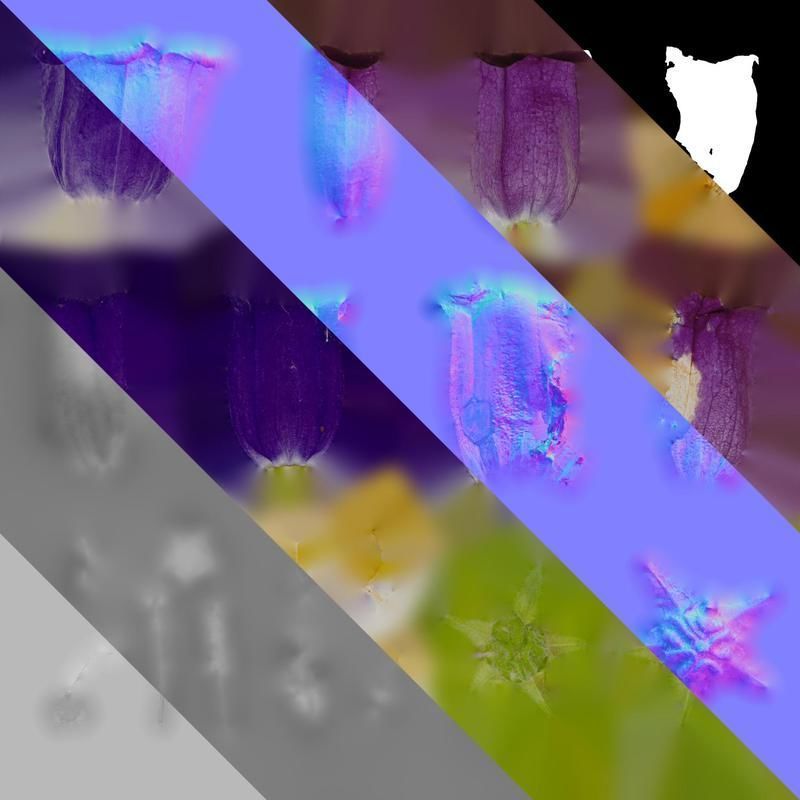 Anydrafts Campanula medium Flower 05 Texture_8