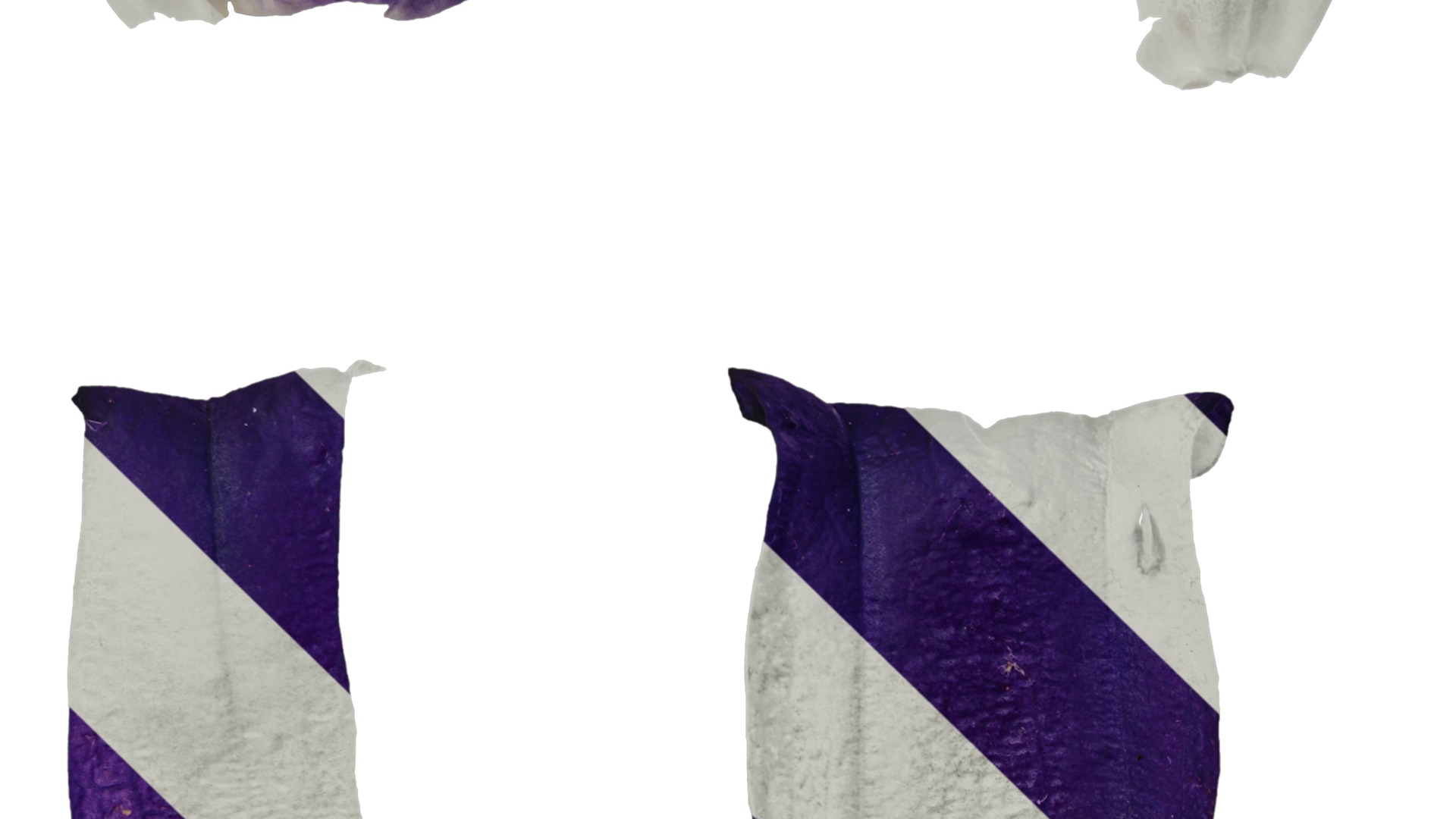 Anydrafts Campanula medium Flower 05 Texture_3