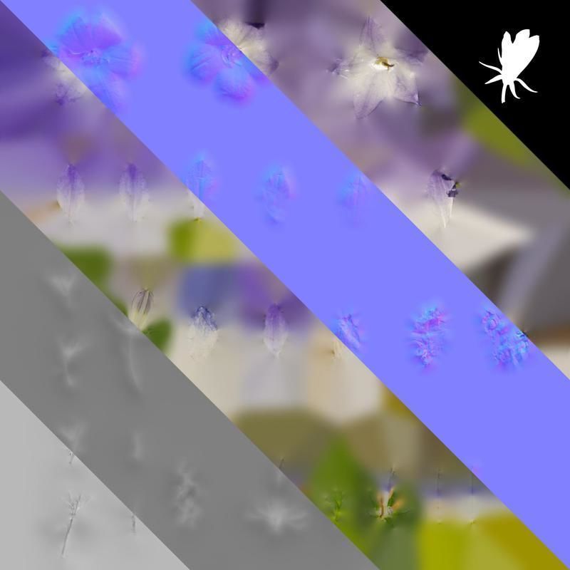 Anydrafts Campanula portenschlagiana Flower 01 Texture_8