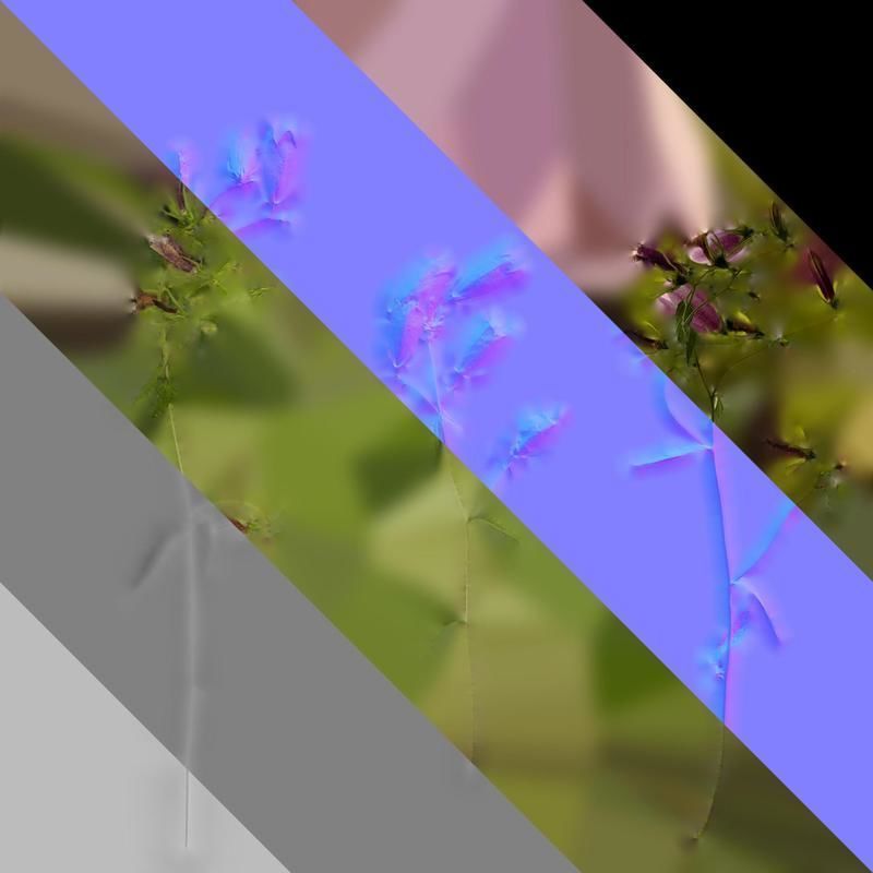 Anydrafts Campanula punctata Atlas 02 Texture_8