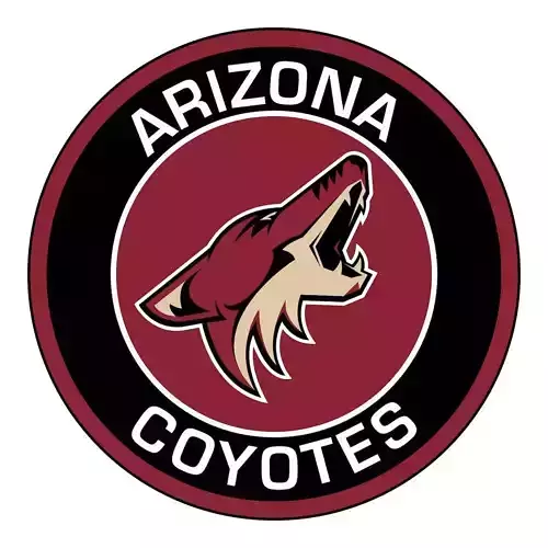NHL Rims Arizona Coyotes