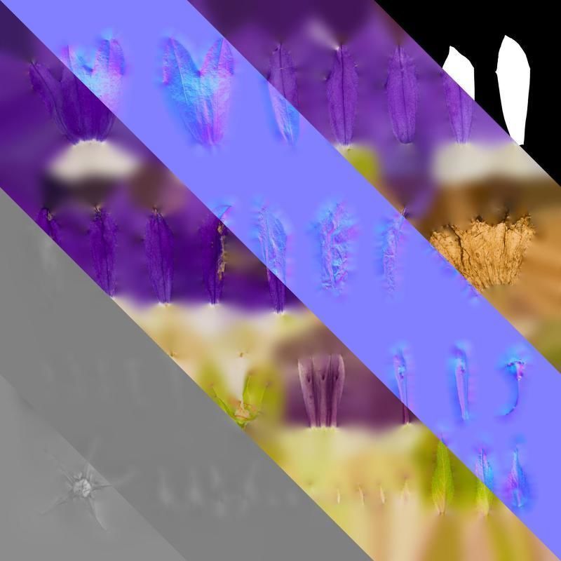 Anydrafts Campanula sarastro Flower 02 Texture_8