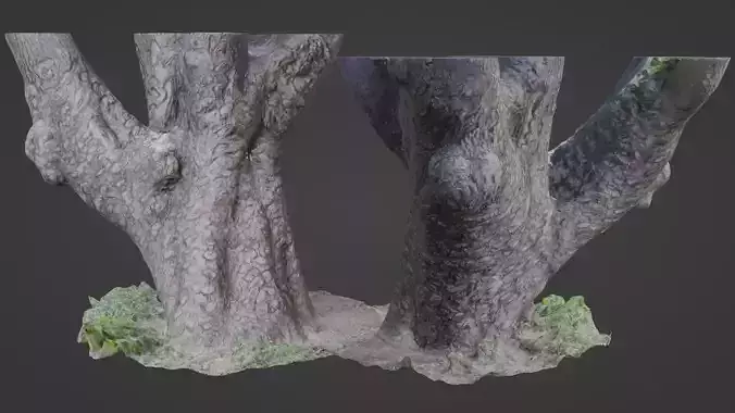 Stylized tree Scan