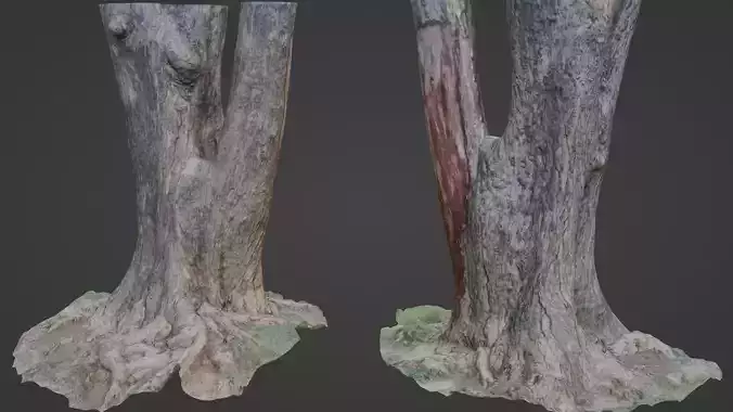 tree scan