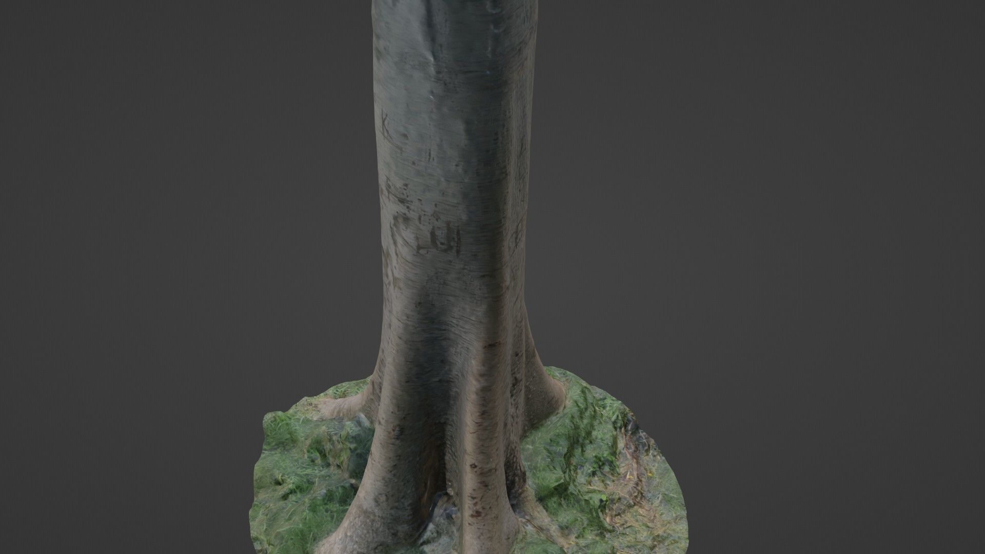 Tree Tall Low-poly 3D model_6
