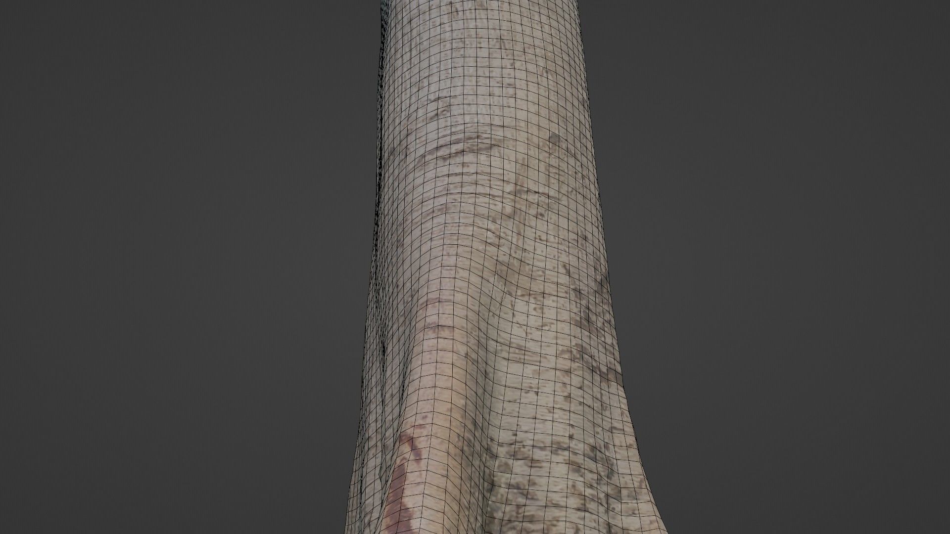 Tree Tall Low-poly 3D model_4