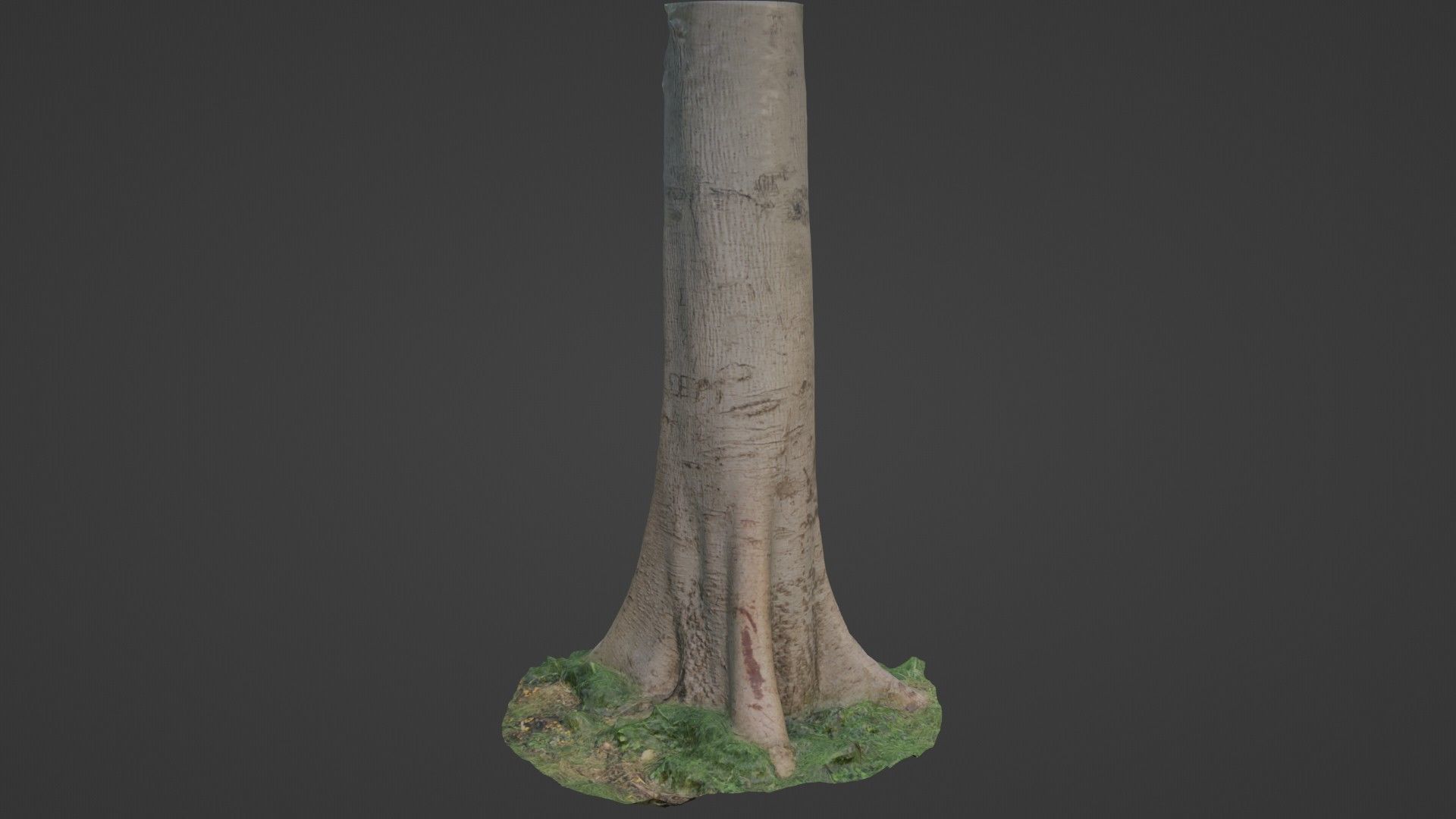 Tree Tall Low-poly 3D model_1