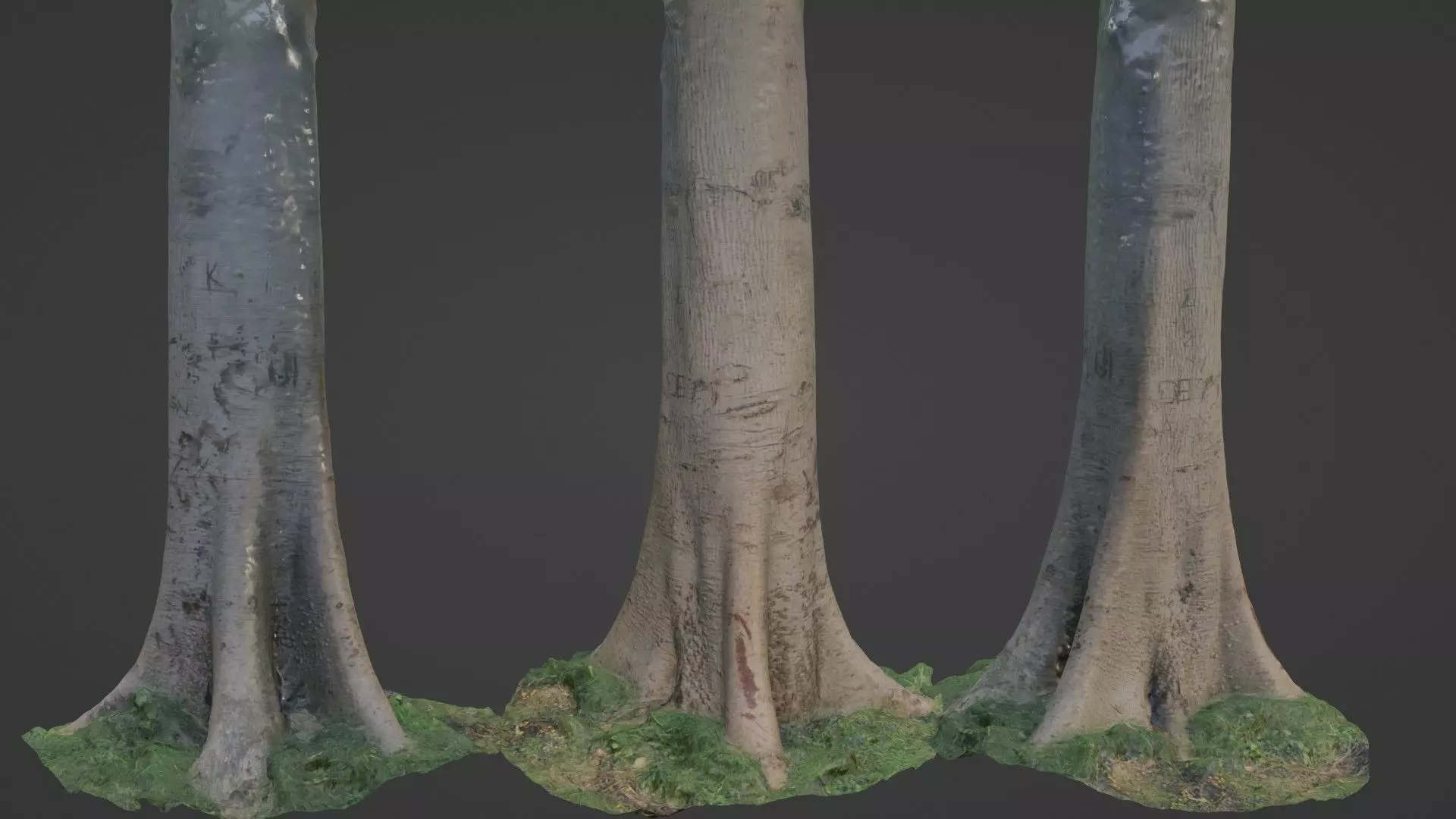 Tree Tall Low-poly 3D model_0