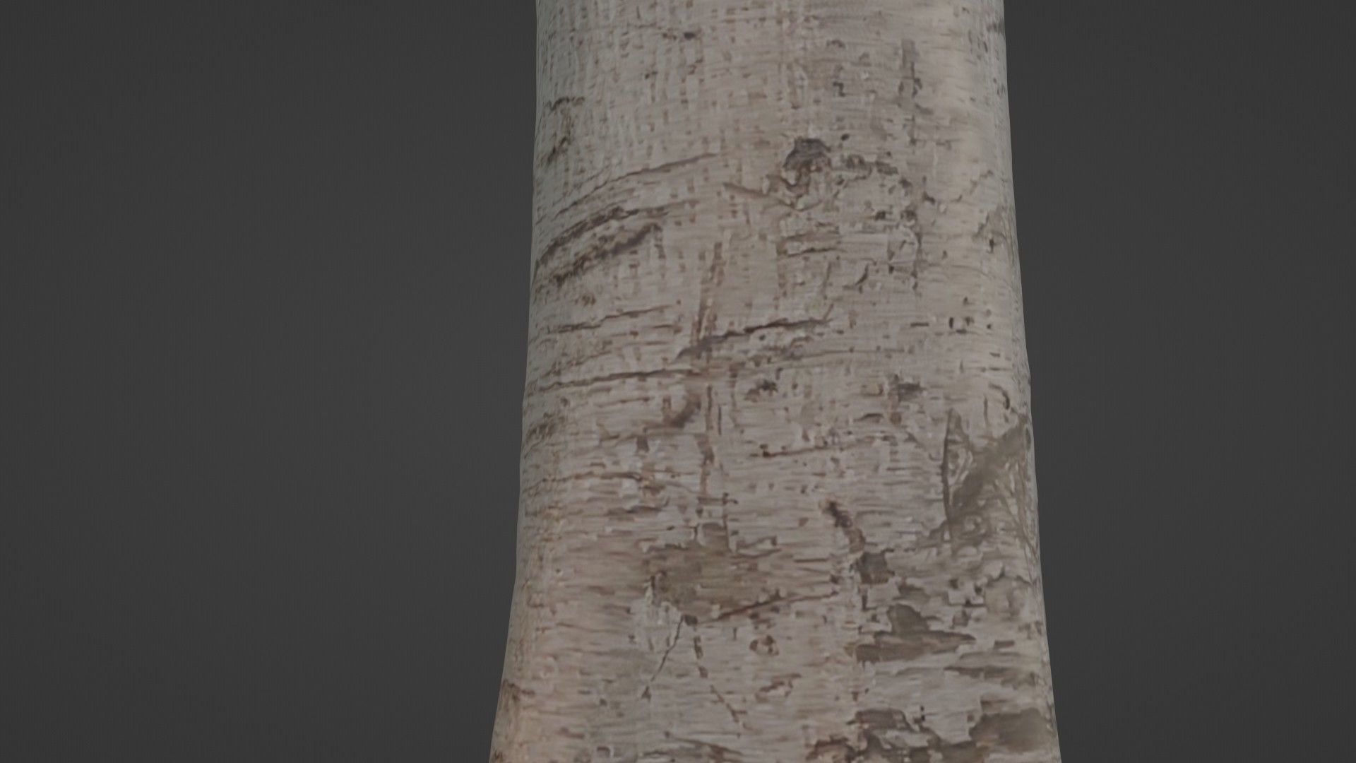 Tree Tall Low-poly 3D model_7