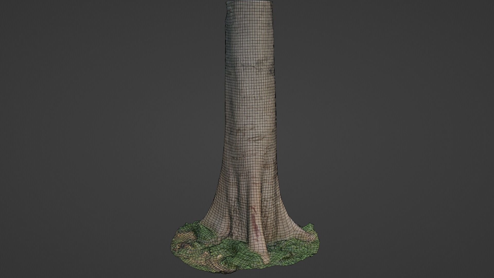 Tree Tall Low-poly 3D model_2