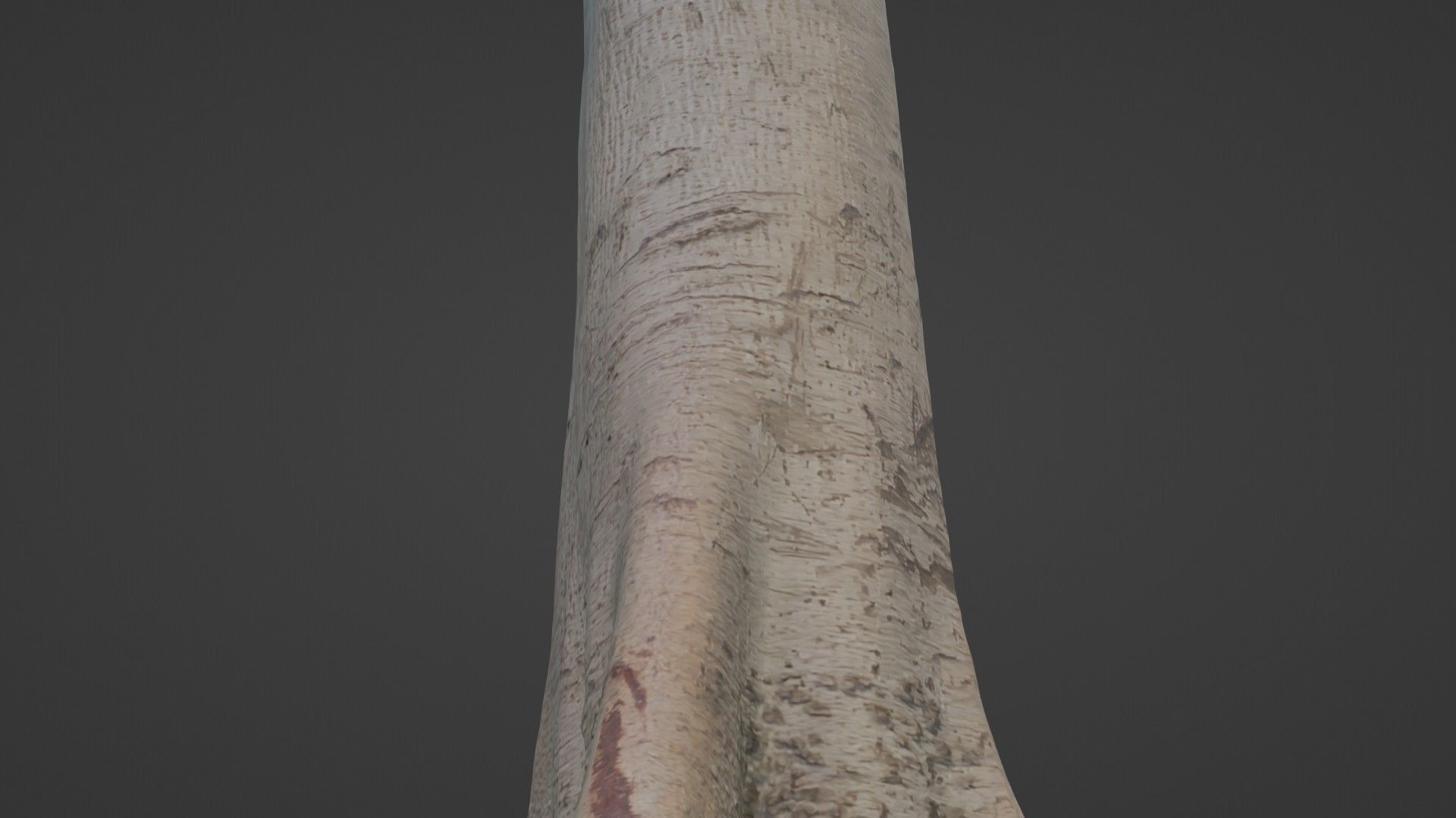 Tree Tall Low-poly 3D model_3