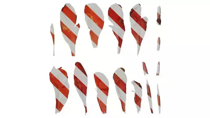 Anydrafts Canna indica Flower 03