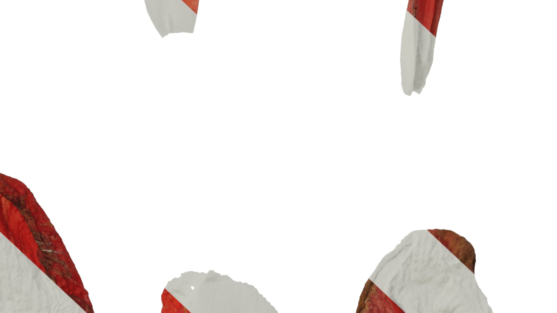 Anydrafts Canna indica Flower 03 Texture_7