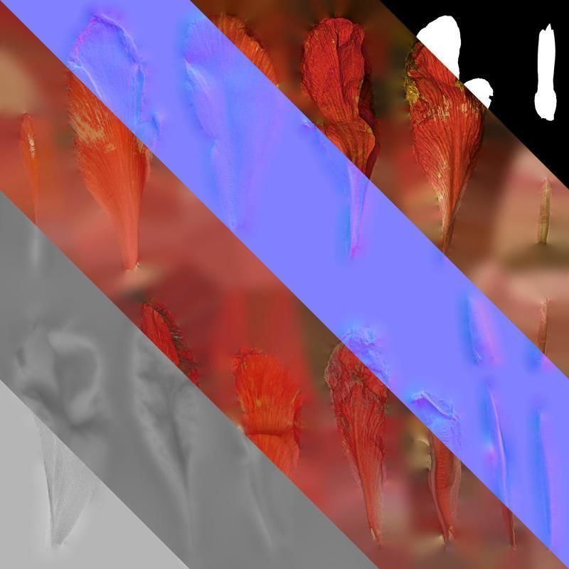 Anydrafts Canna indica Flower 03 Texture_8