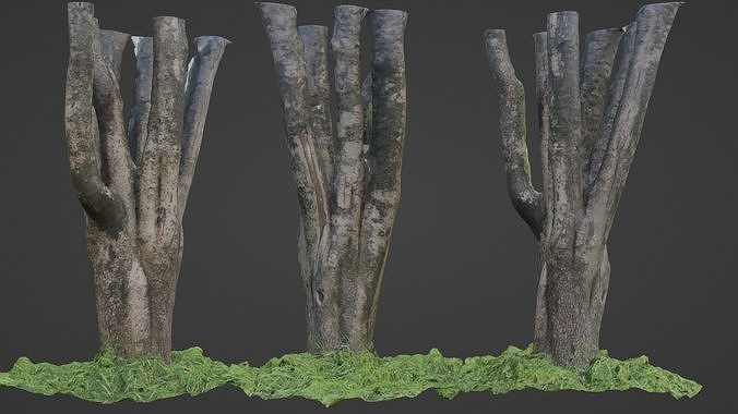 tree scan Low-poly 3D model
