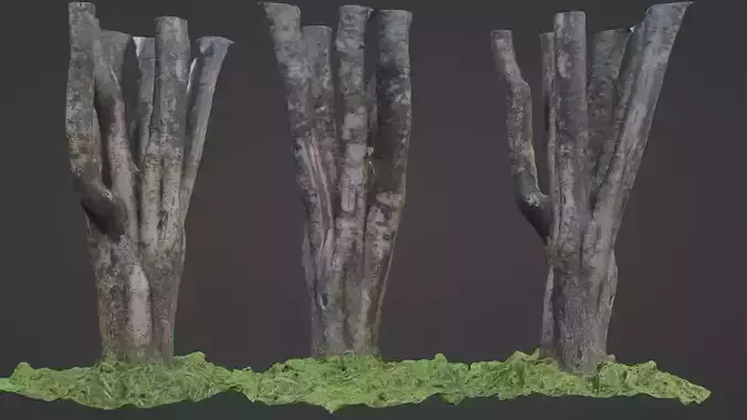 tree scan