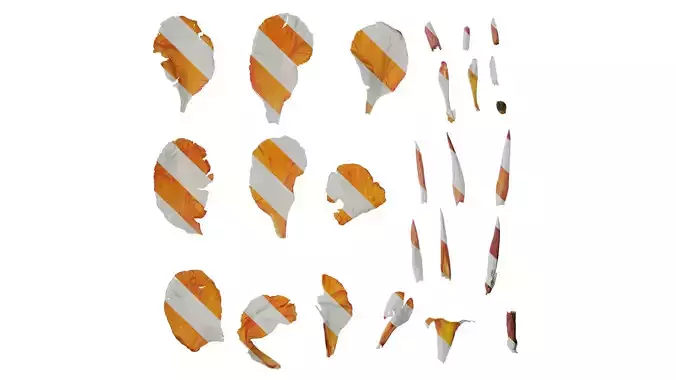 Anydrafts Canna indica Flower 18