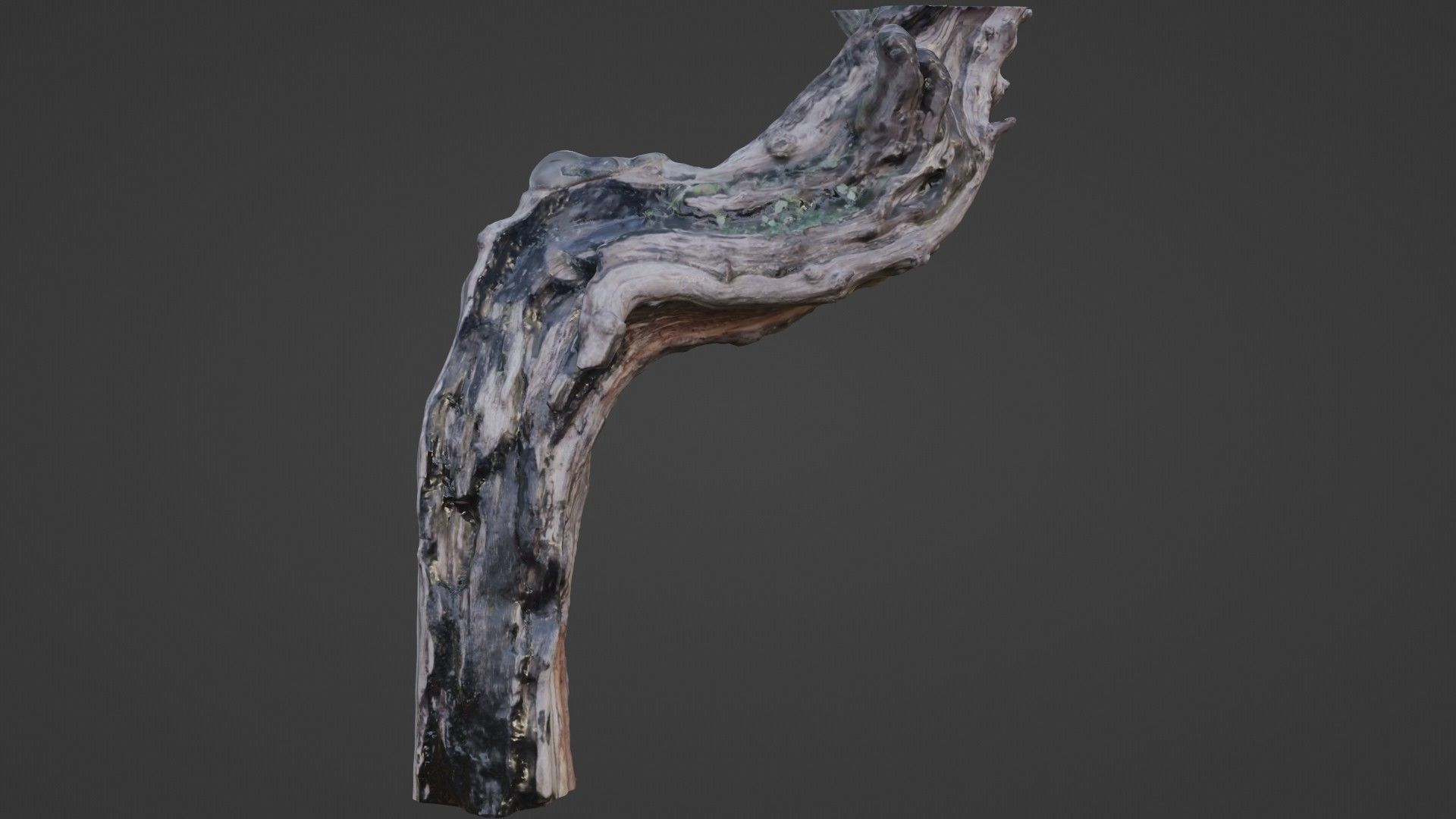 Fantsy Tree Low-poly 3D model_1