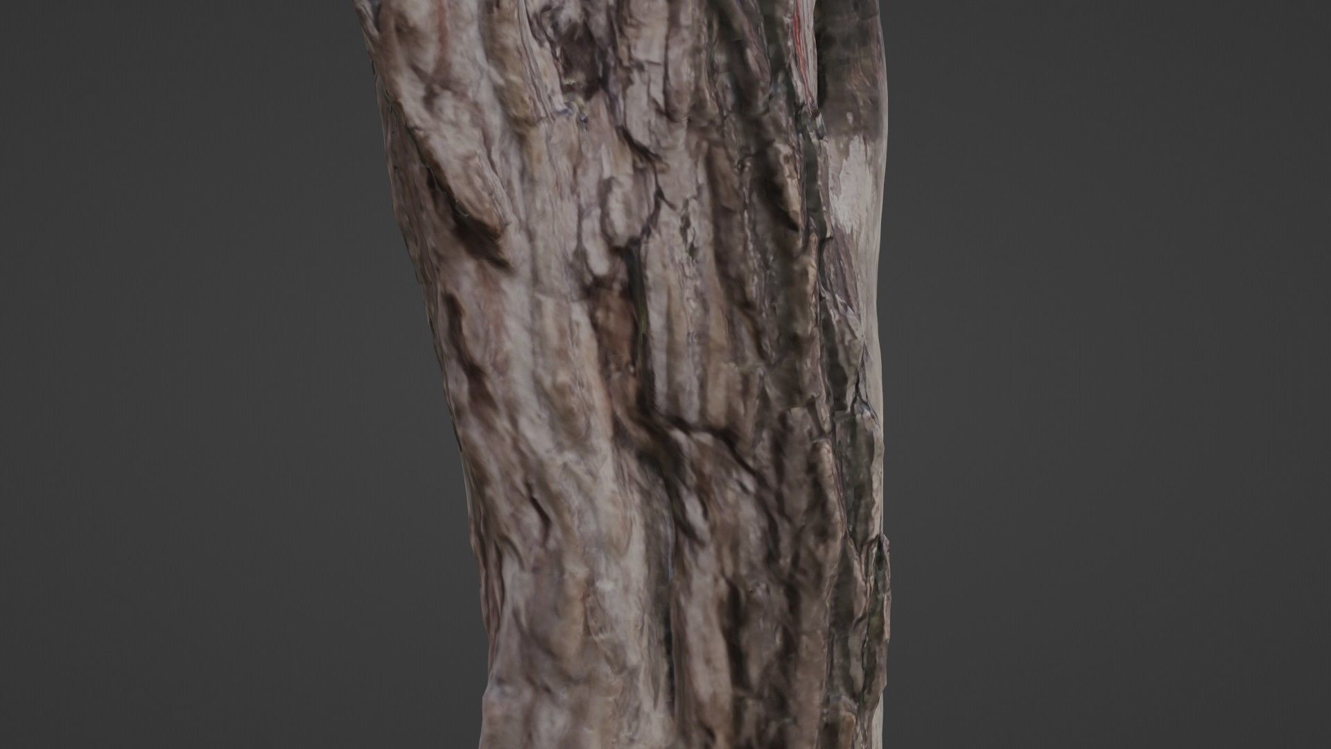 Fantsy Tree Low-poly 3D model_6