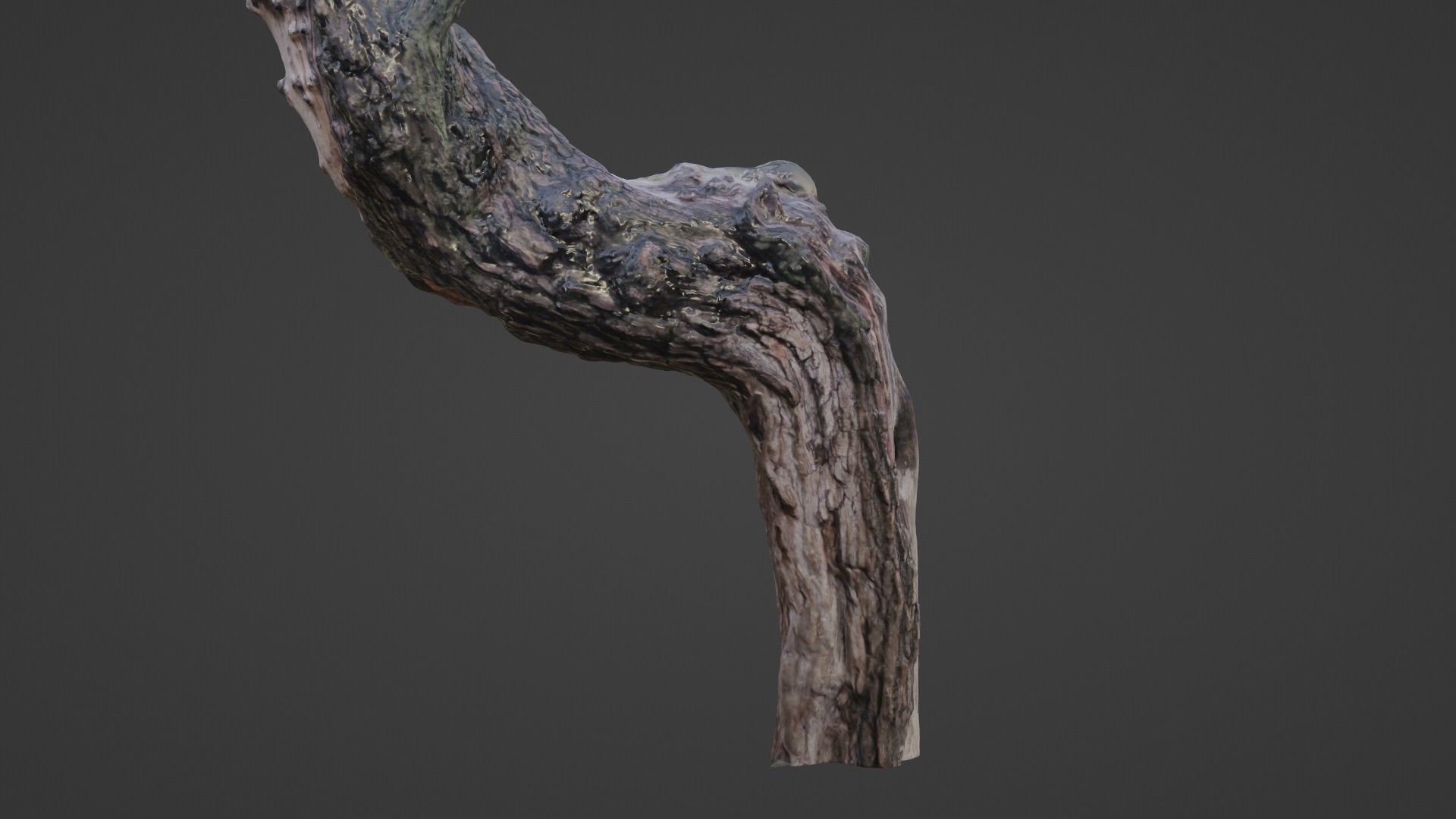 Fantsy Tree Low-poly 3D model_5