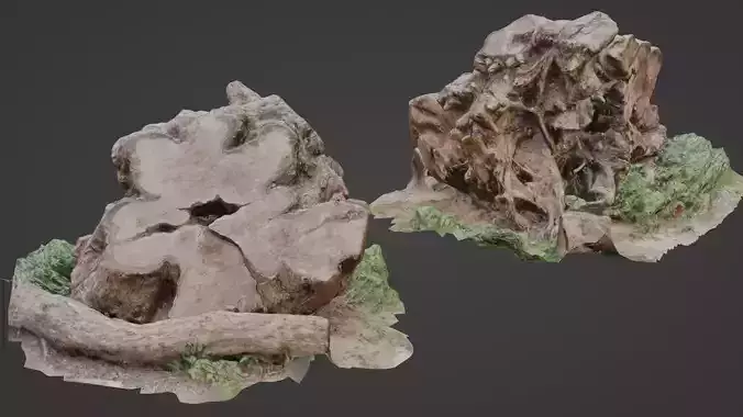 Cutted trunk roots Low-poly 3D model