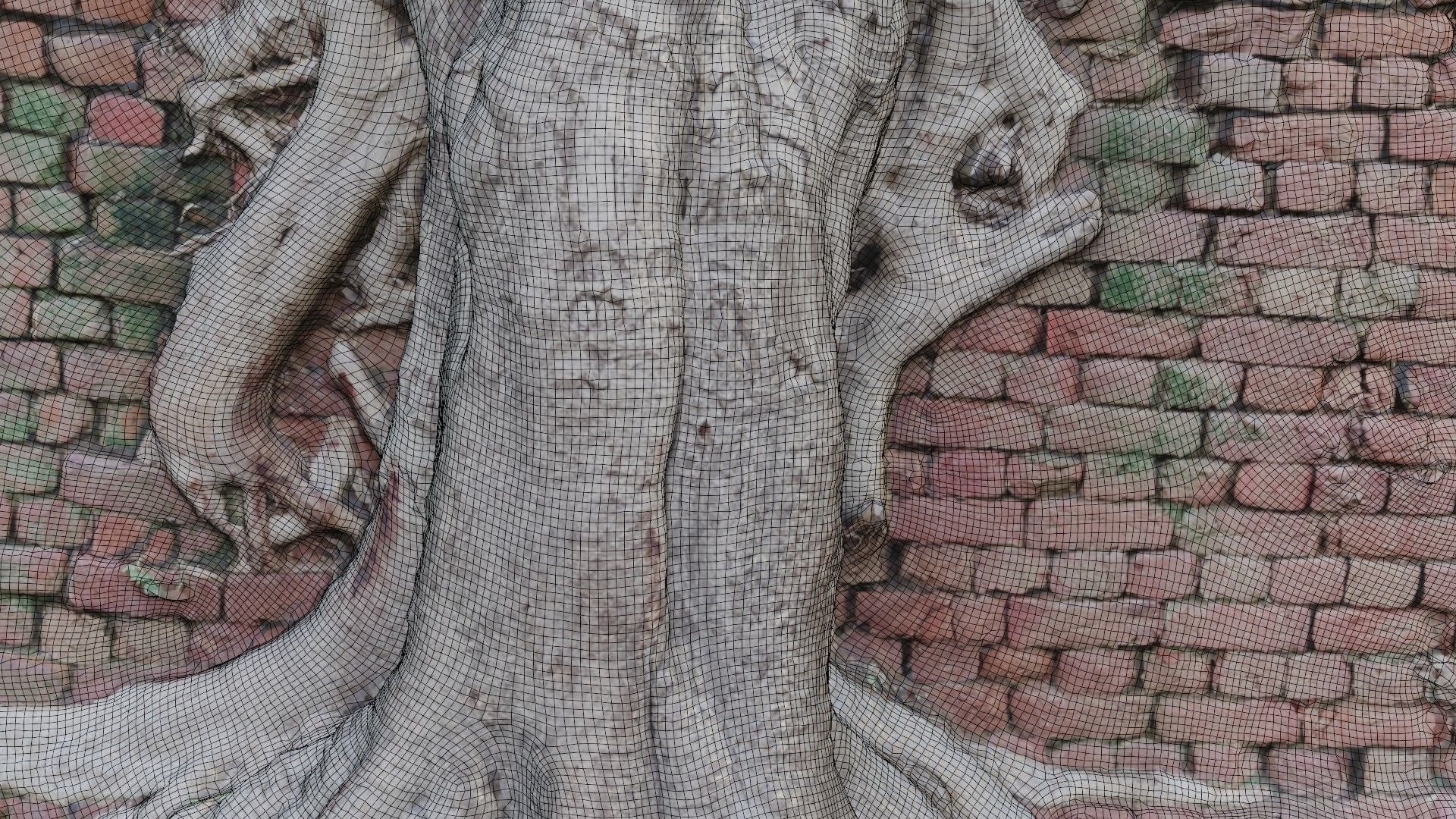 Tree with Wall Low-poly 3D model_4