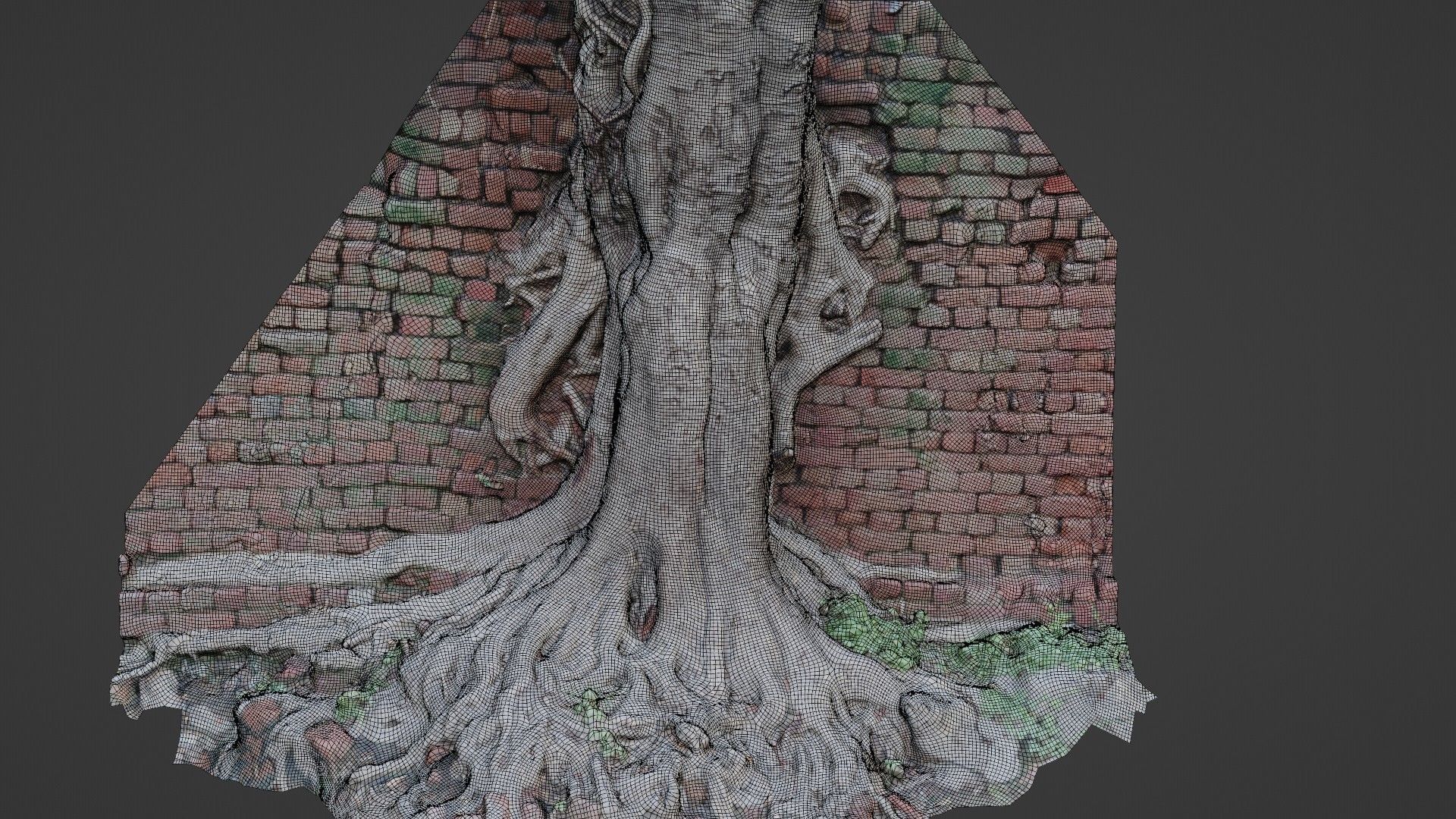 Tree with Wall Low-poly 3D model_2