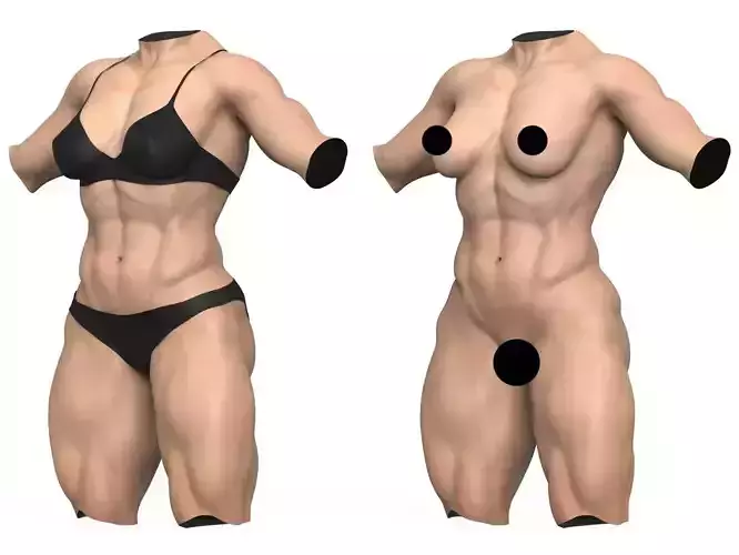 Muscular Woman Torso