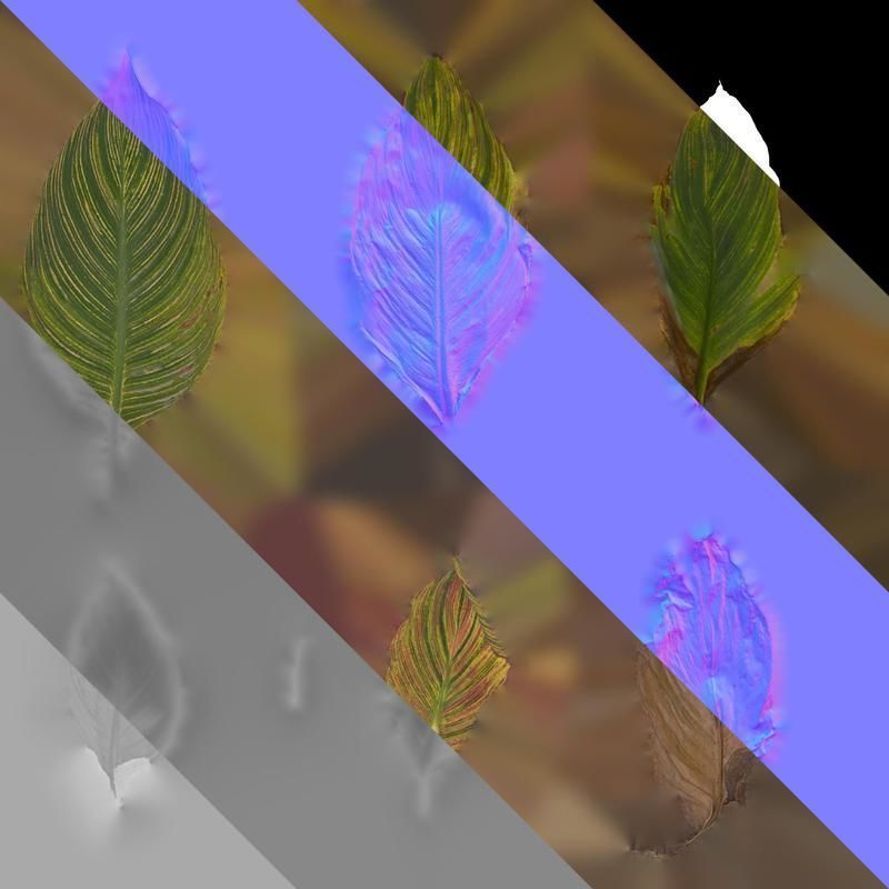 Anydrafts Canna indica Leaf 27 Texture_8