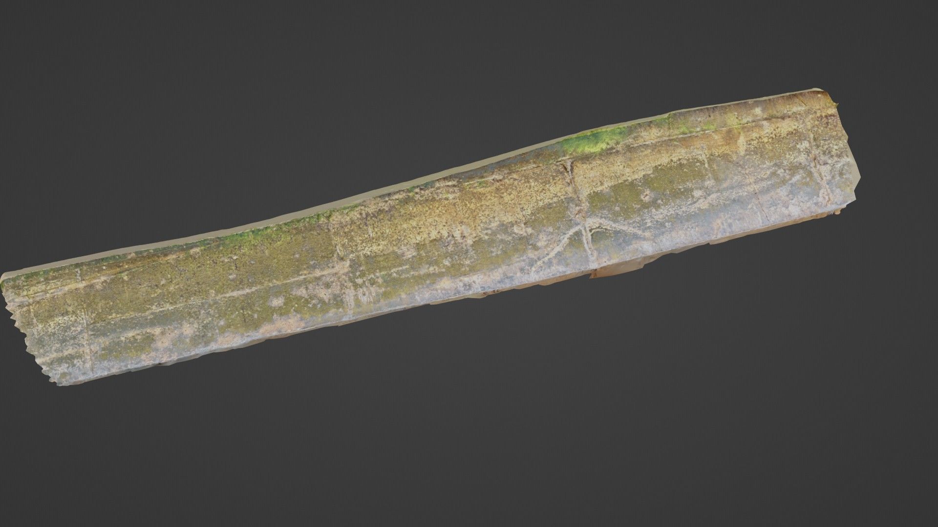 Seashore mossy path Low-poly 3D model_7