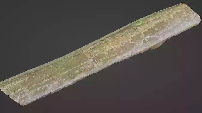 Seashore mossy path Low-poly 3D model