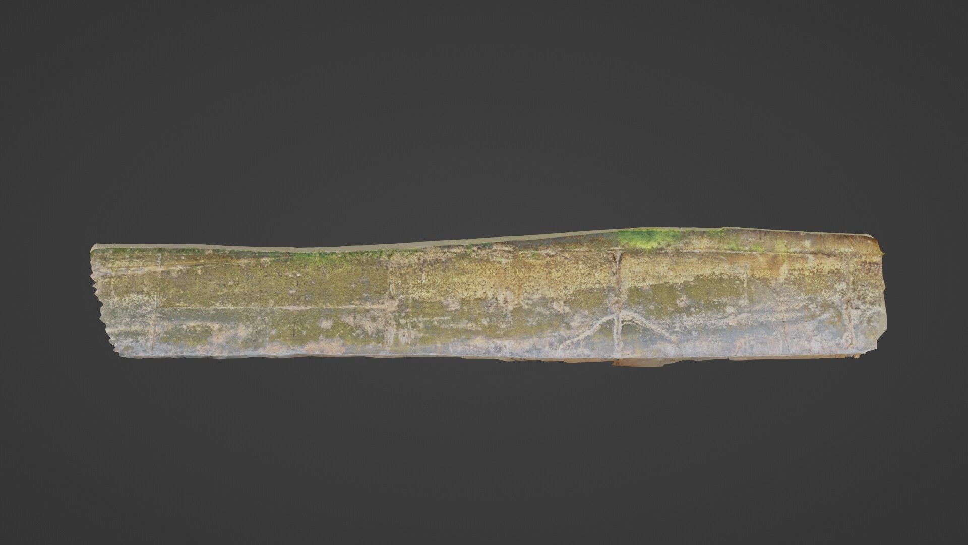 Seashore mossy path Low-poly 3D model_1