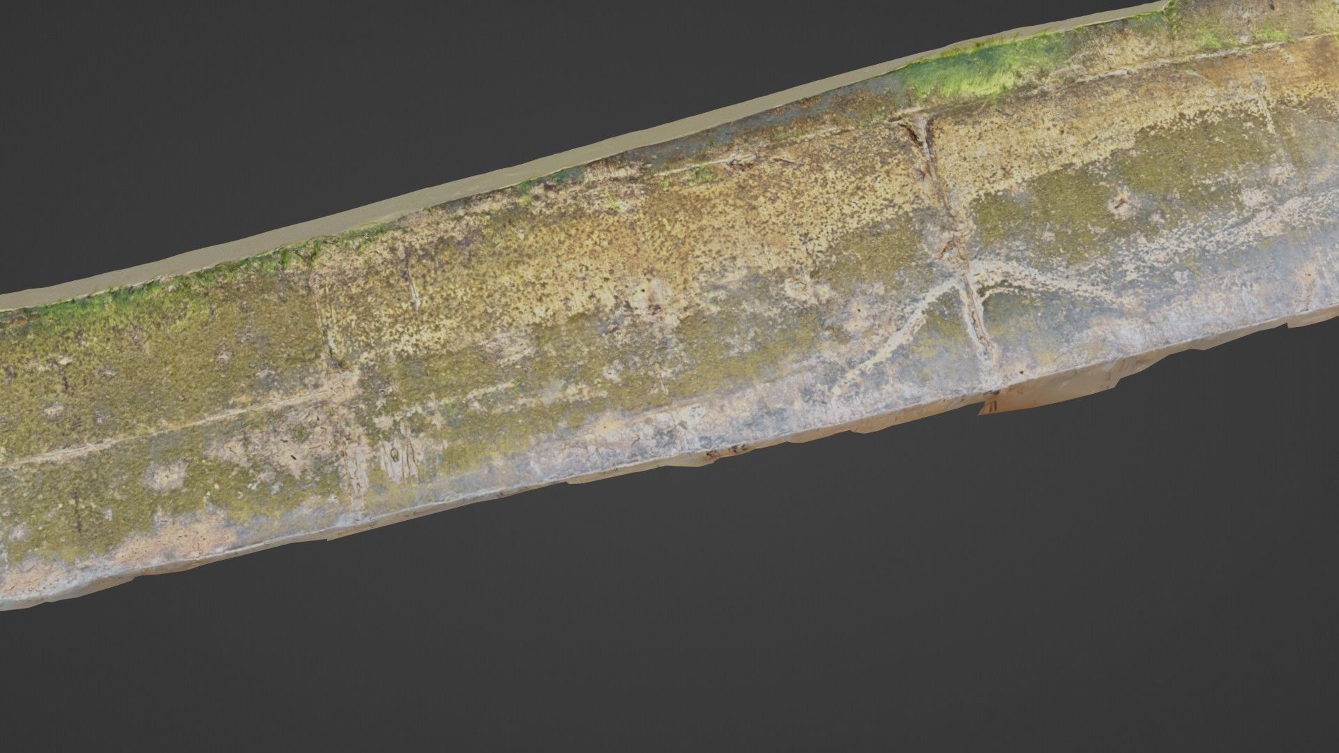 Seashore mossy path Low-poly 3D model_6