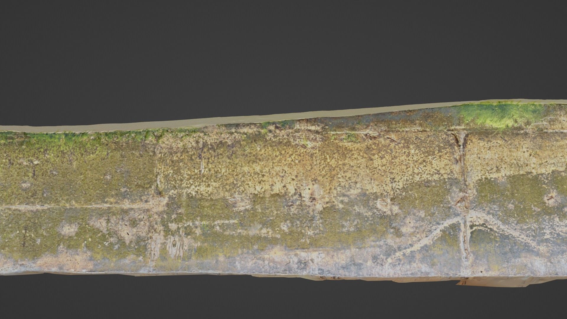 Seashore mossy path Low-poly 3D model_3