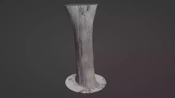 Tree Trunk bark scan