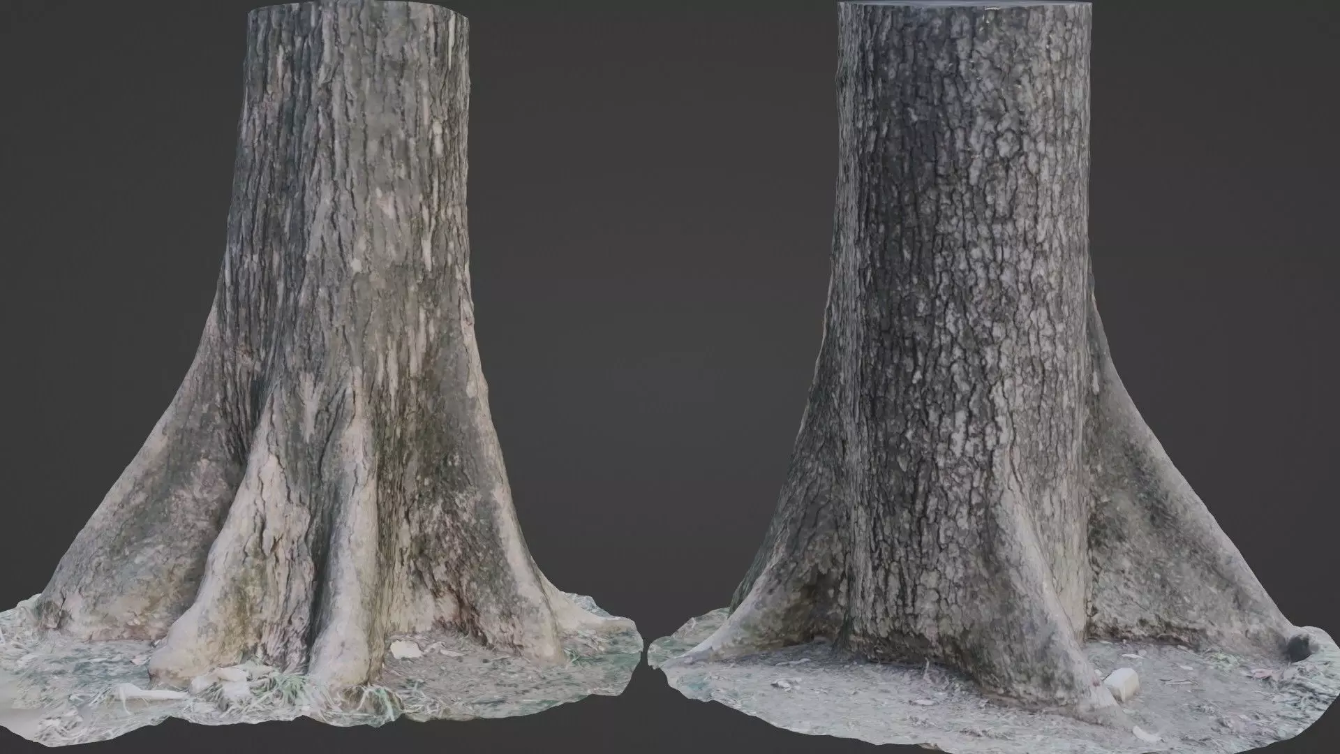 Gaint trunk Low-poly 3D model_0