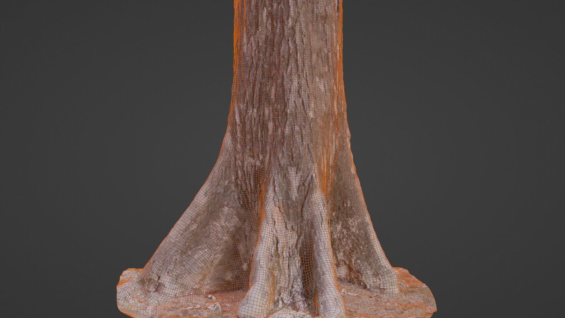 Gaint trunk Low-poly 3D model_2